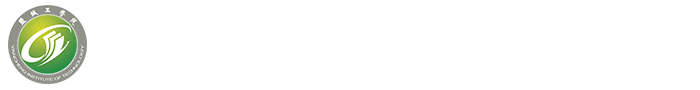 全讯800cc大白菜